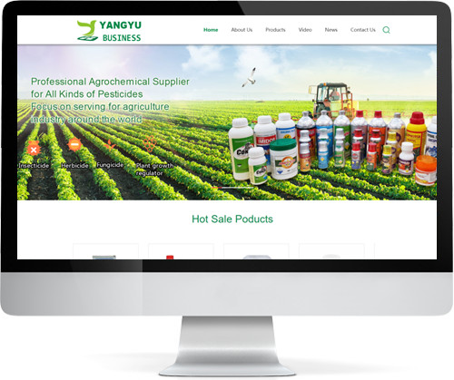 Hebei Free Trade Zone Yangyu Business Co., Ltd